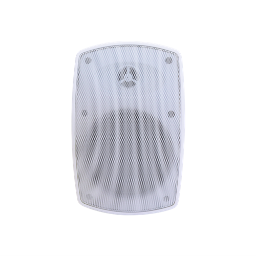 FLEX30W Wall Speaker 5.25