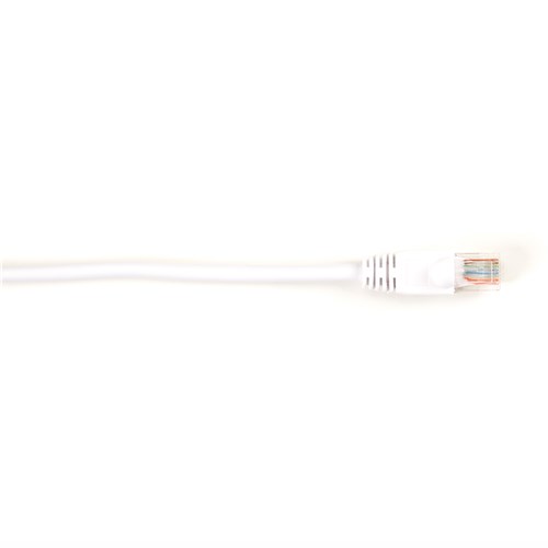 BB-CAT6PC-007-WH
