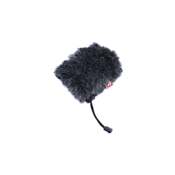 RR-RYC055308